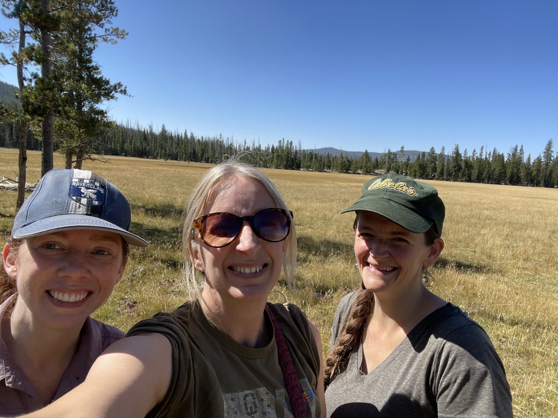 Three women hike through a meadow in the Uintas